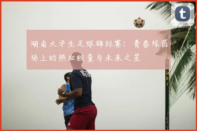 湖南大学生足球锦标赛:青春绿茵场上的热血较量与未来之星